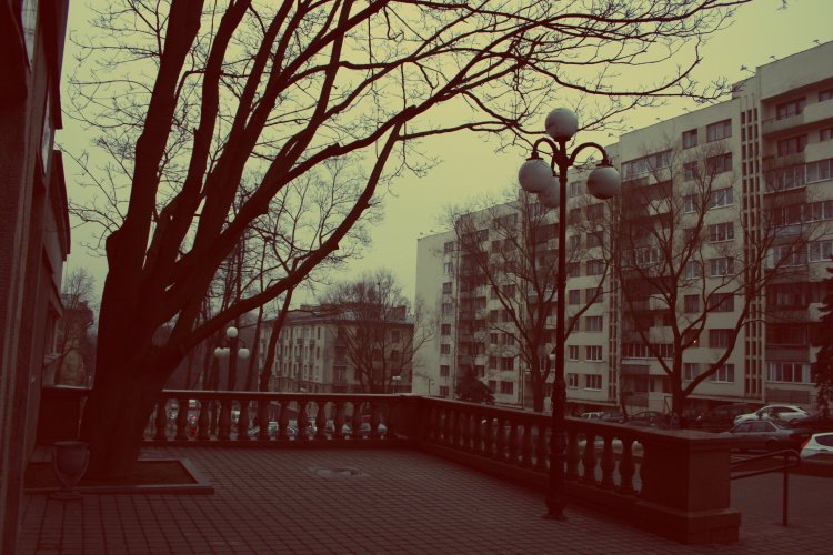 Nobody Has Been Gathering Here For Five Years Now