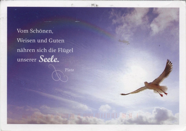 Праекту MAKEOUT дасылаюць паштоўкі з усяго свету