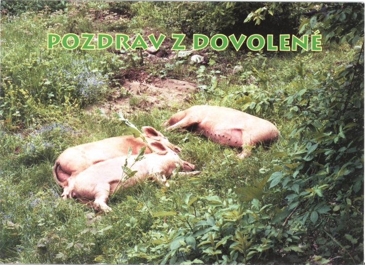 Праекту MAKEOUT дасылаюць паштоўкі з усяго свету