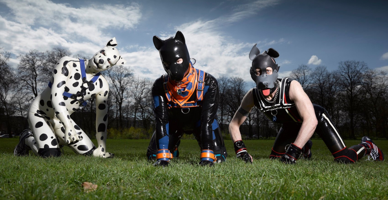 Тайная жизнь человеческих щенков