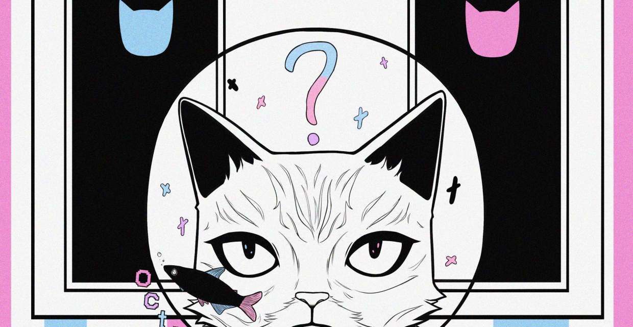 Результаты конкурса наклеек «Что не так с гендерно-бинарными туалетами?» Результаты конкурса наклеек «Что не так с гендерно-бинарными туалетами?»