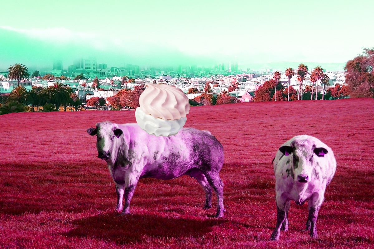 Иллюстрация Милы Ведровой / Коллаж. На заднем фоне – зеленовато-красный вид на город, видны дома, пальмы, деревья. Небо подернуто дымкой. На переднем плане – на красной траве стоят две фиолетово-белые коровы, одна корова в анфас, вторая корова стоит боком. У нее на спине лежит бело-розовая зефирка.